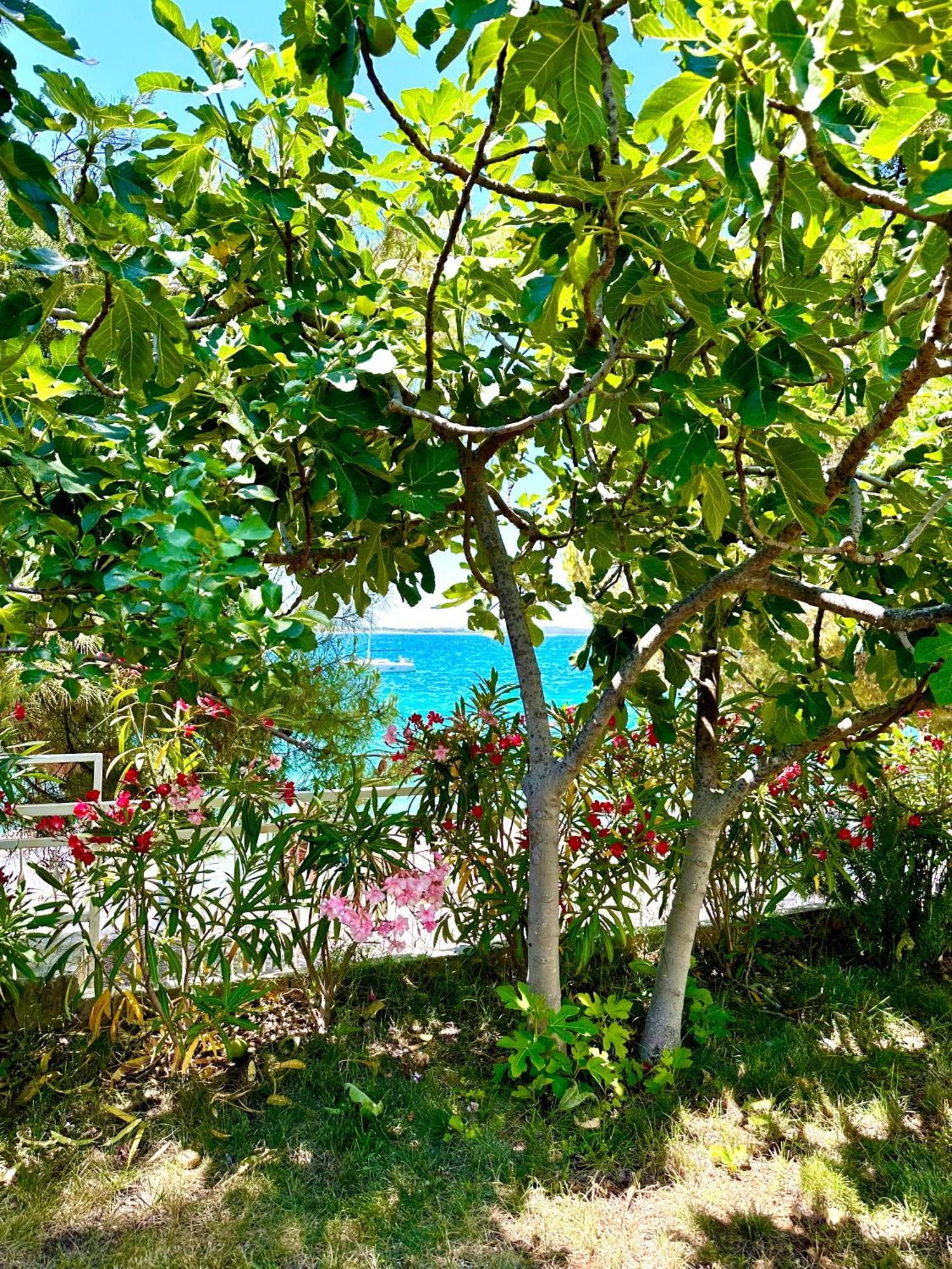 Villa Perla & Palma à Žaborić Extérieur photo